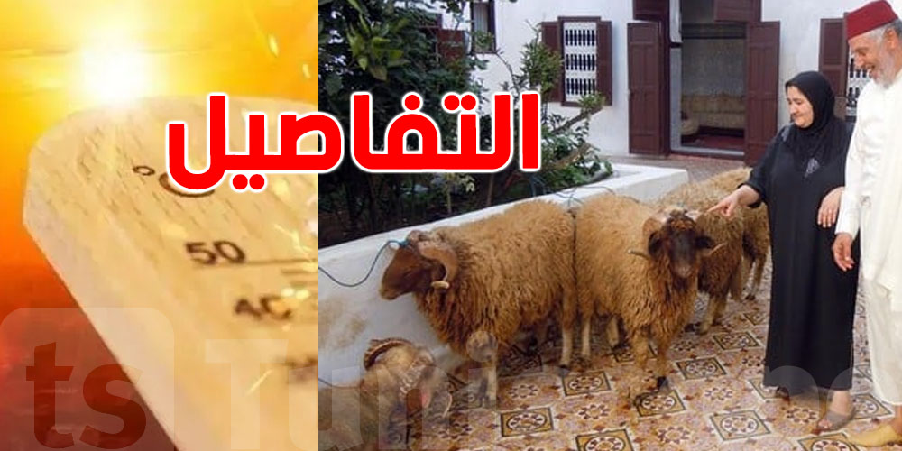 ''سخانة'' عيد الأضحى في تونس.... هكذا يجب التصرف للمحافظة على الطقوس والعادات
