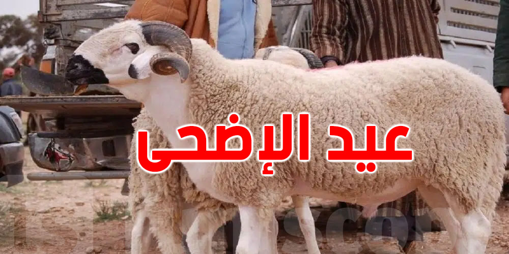 علاش ''العلوش'' ما يلزمش ياكل ليلة العيد؟