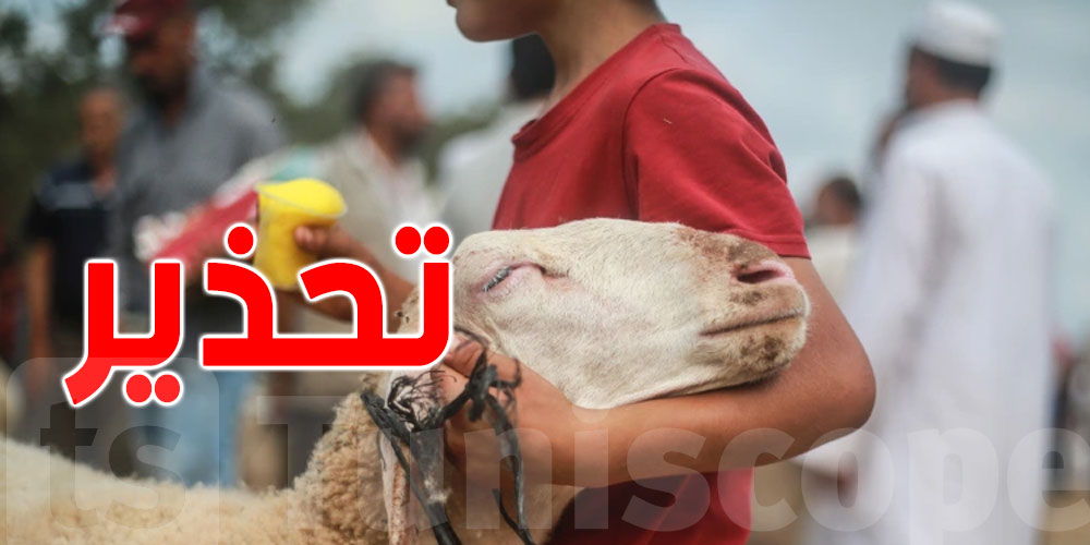 عيد الإضحى: بياطرة على ذمّة التونسيين عيد الإضحى: بياطرة على ذمّة التونسيين