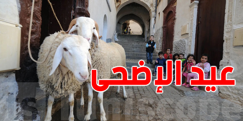 هل نحمي صغارنا من مشهد الذبح... أم نعلّمه معنى القربان؟