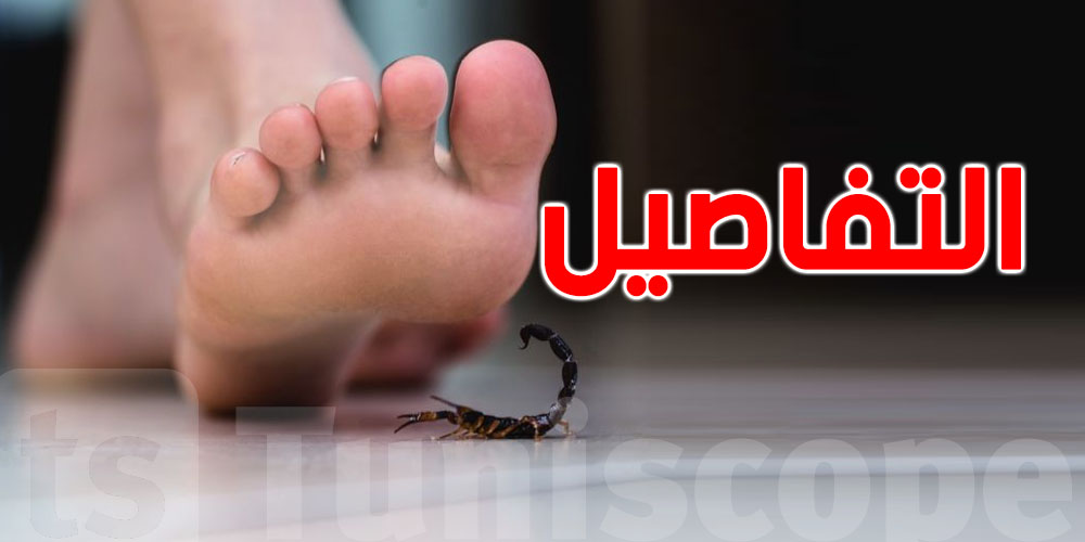 9 آلاف لدغة عقرب في تونس خلال سنة فقط: أحمي روحك ودارك قبل فوات الأوان!