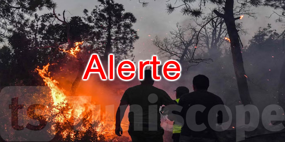 Alerte Canicule et vents violents : Le Ministère de l’Agriculture lance un Appel à la Vigilance