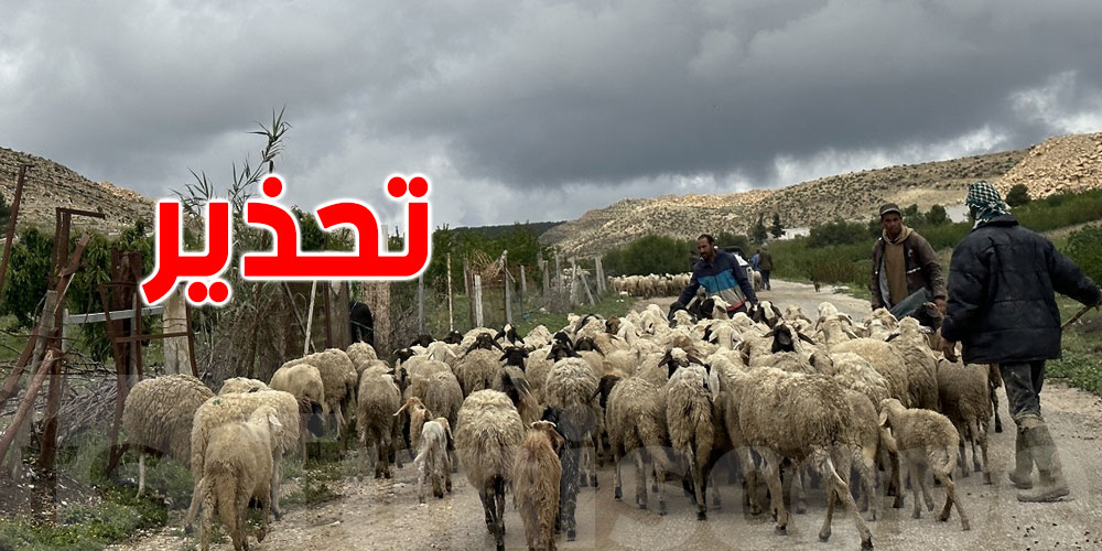 تزامنا مع التقلّبات الجوّية: وزارة الفلاحة تُحذّر