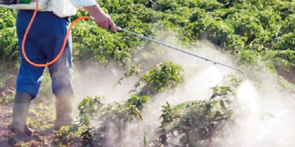 مختص يحذّر: الإفراط في المبيدات يهدّد المياه والصحة في تونس