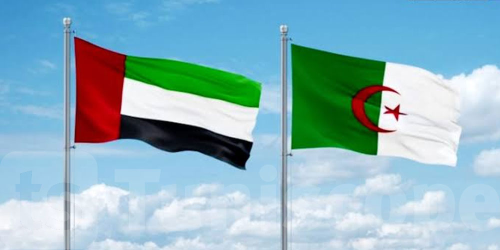 عاجل: الجزائر تغلق مجالها الجوي أمام الطائرات الإماراتية باستثناء الرحلات التجارية
