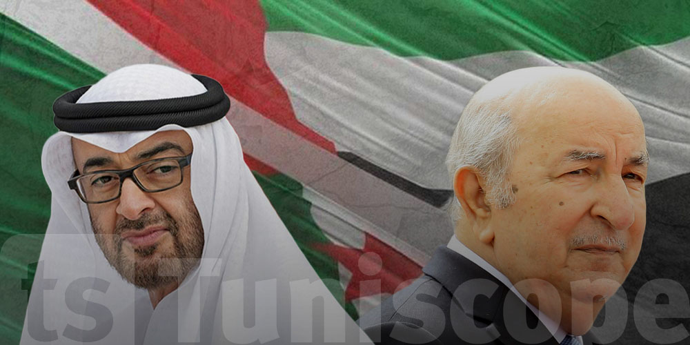 عاجل: الجزائر تقطع علاقاتها الدبلوماسية مع الإمارات