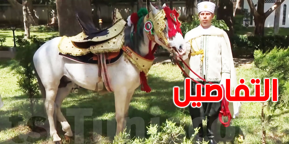 بالفيديو: الرئيس الجزائري يُهدي سلطان عُمان حصانا بربريا أصيلا