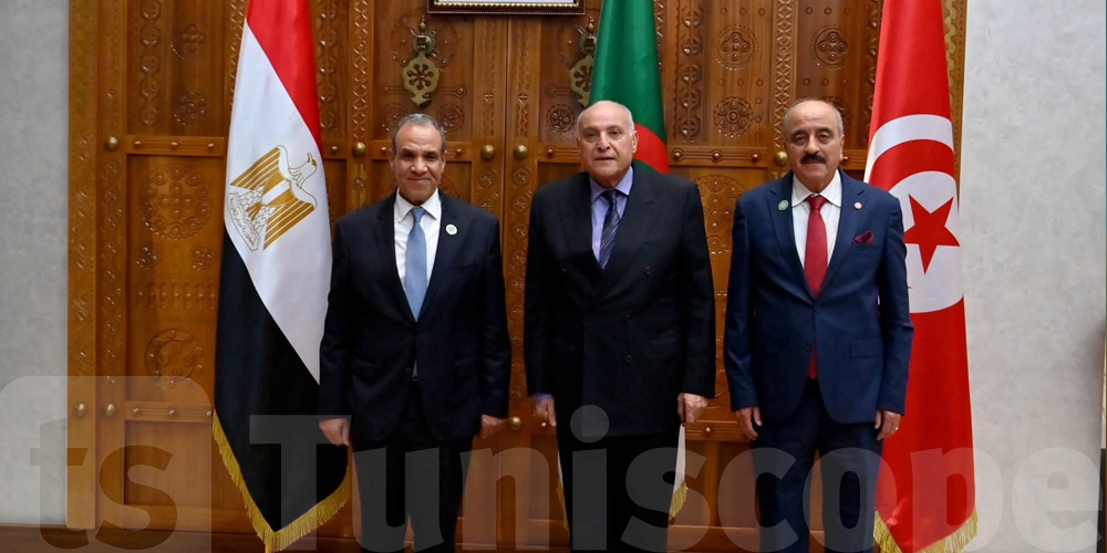 عاجل: تونس ومصر والجزائر يتحرّكوا في ملف ليبيا.. شنوة قرّروا؟
