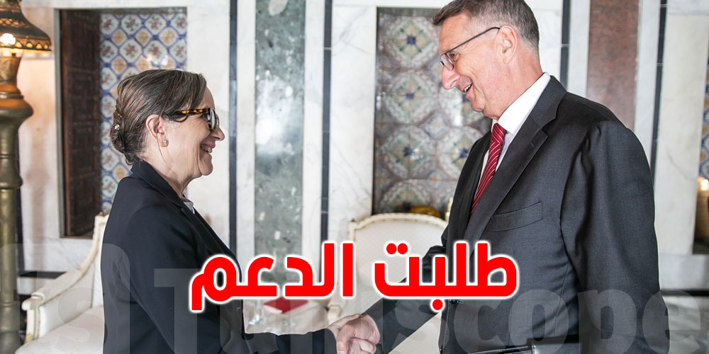 ماذا في لقاء بودن مع سفير ألمانيا بتونس؟