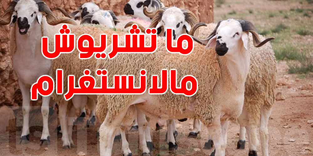 للتوانسة'' اشري من السوق موش من إنستغرام''… رسالة قوية من نقابة الفلاحين