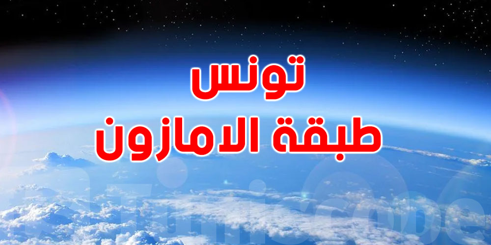 تونس و طبقة الأمازون : معلومات مهمة لازمك تعرفها 