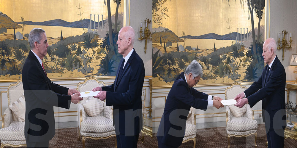 قيس سعيد يتسلم أوراق اعتماد سفراء أجانب جدد بتونس