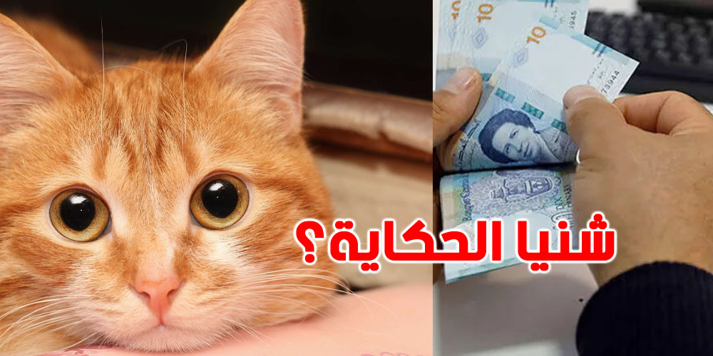 سممت حيوان، قتلتوا والا جرحتوا... عقوبات بالسجن وغرامة مالية توصل للمبلغ هذا....كيفاش؟