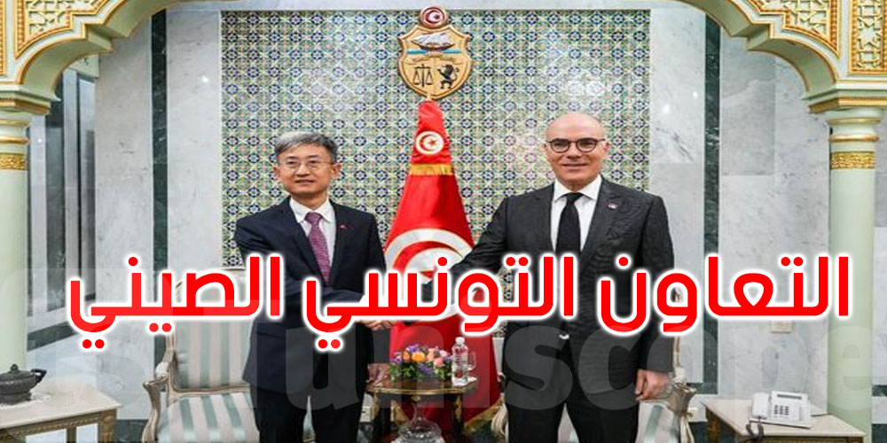 إنجاز المشاريع التنموية في المجالات ذات الأولوية بتونس محور لقاء وزير الخارجية بسفير الصين