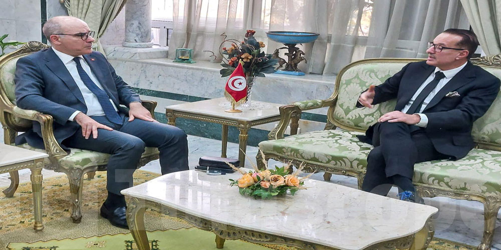 نبيل عمار يستقبل أحد الخبرات التونسية المقيمة بفرنسا ورئيس مجلس إدارة شركة فرنسية