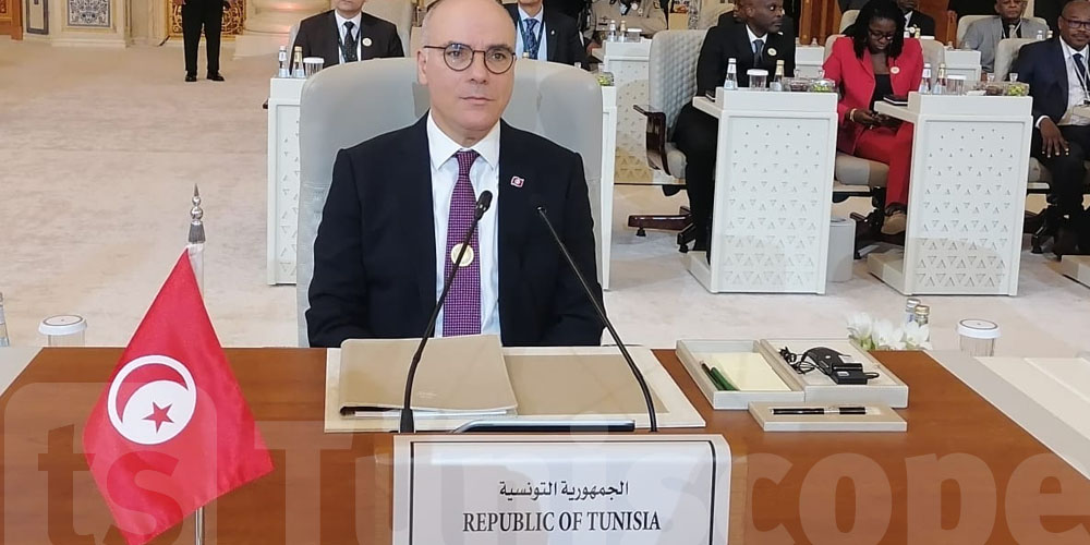وزير الشؤون الخارجية والهجرة والتونسيين بالخارج، نبيل عمار