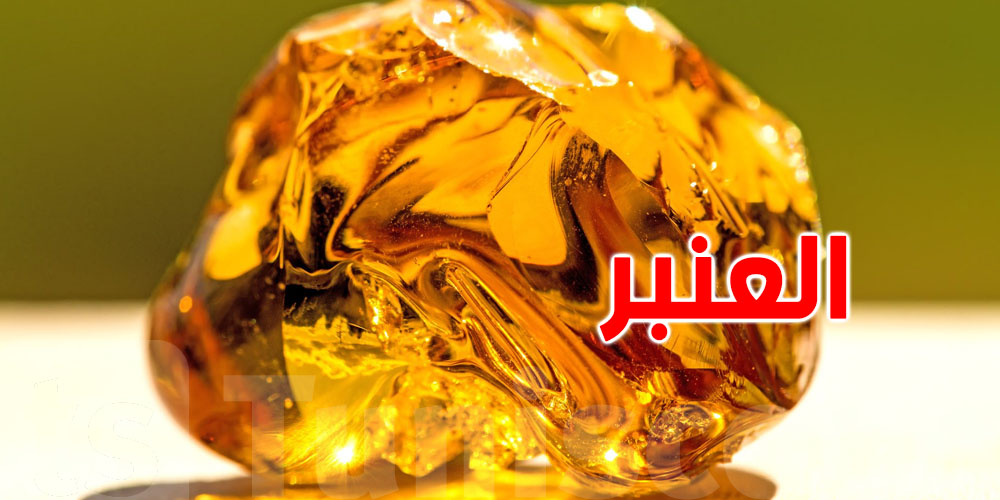 حجرة من البحر تساوي ثروة: كيلو العنبر بـ180 ألف دينار!