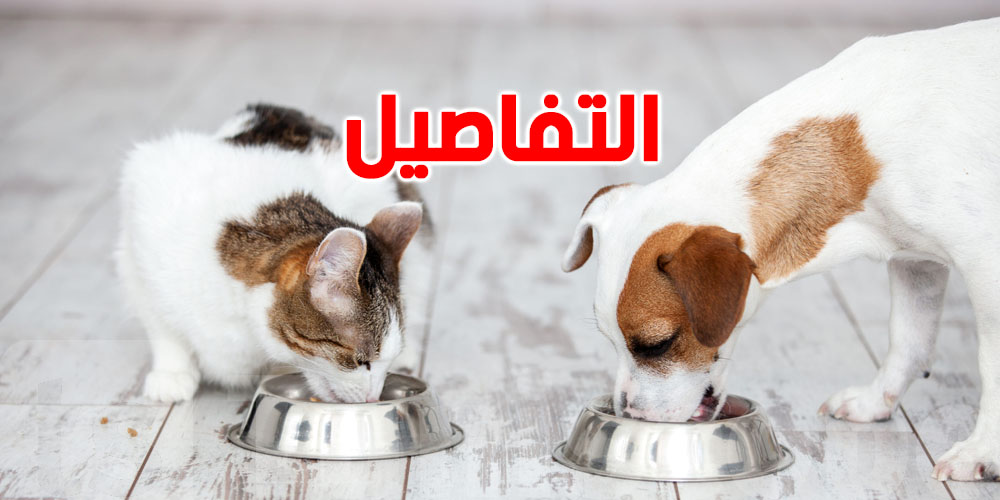 تحذير عاجل للتونسيين: البصل والثوم ممنوعان تمامًا على حيواناتكم!
