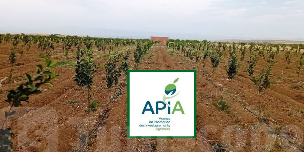 Baisse de 9,6% des investissements agricoles approuvés par l’APIA