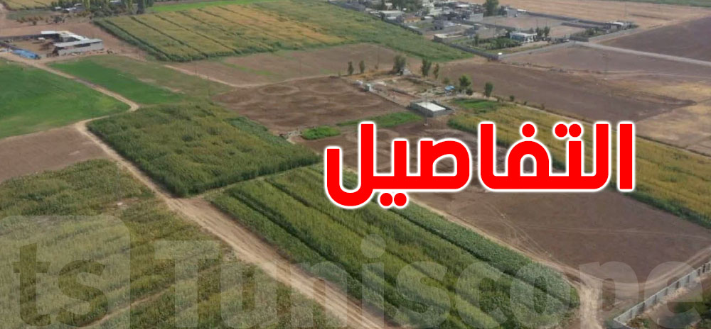 في تونس: القانون يسمح للدولة بإنتزاع أراضي المواطنين لمن مع التعويض العادل 