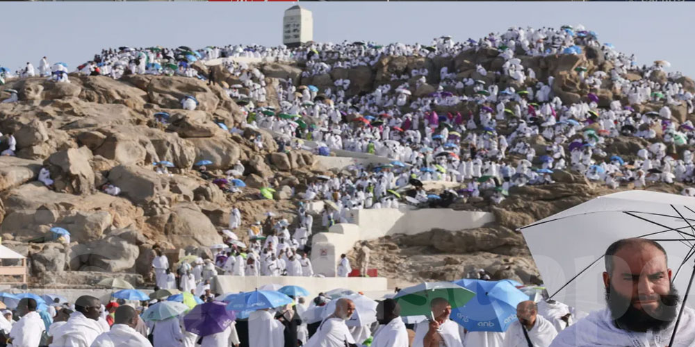 على عرفات: ضيوف الرحمن يؤدون ركن الحج الأعظم