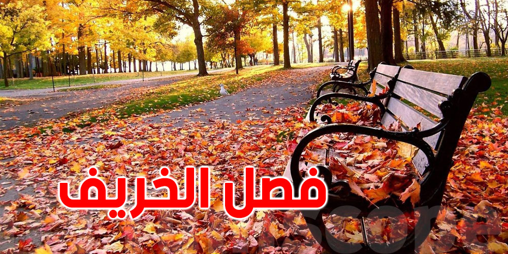 كيف نستطيع التّأقلم مع تغيرات فصل الخريف؟