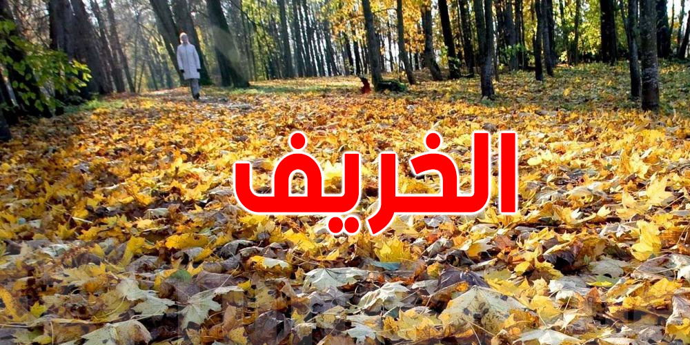 خريف 2025 يبدأ اليوم في تونس: تعرف على أهم التواريخ الفلاحية القادمة