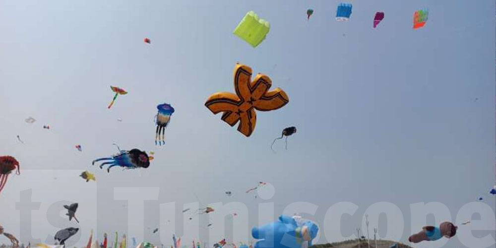 في الصين: تونس تتحصّل ميدالية ذهبية للطائرات الورقية