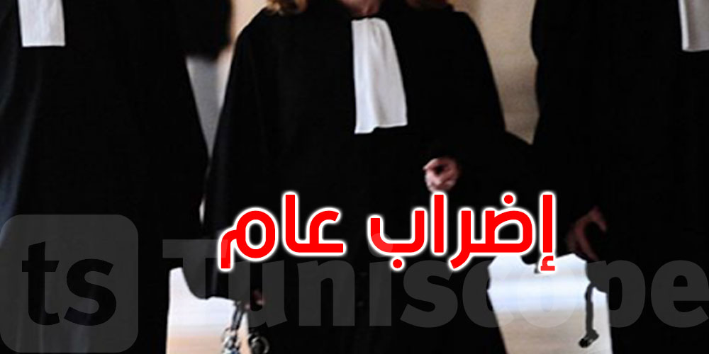 عاجل: هيئة المحامين تقرر إضرابا عاما بكافة محاكم الجمهورية غدا