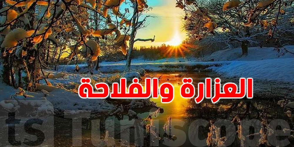 كيفاش تؤثر العزارة على الزراعة الشتوية؟ قراءة فلاحية