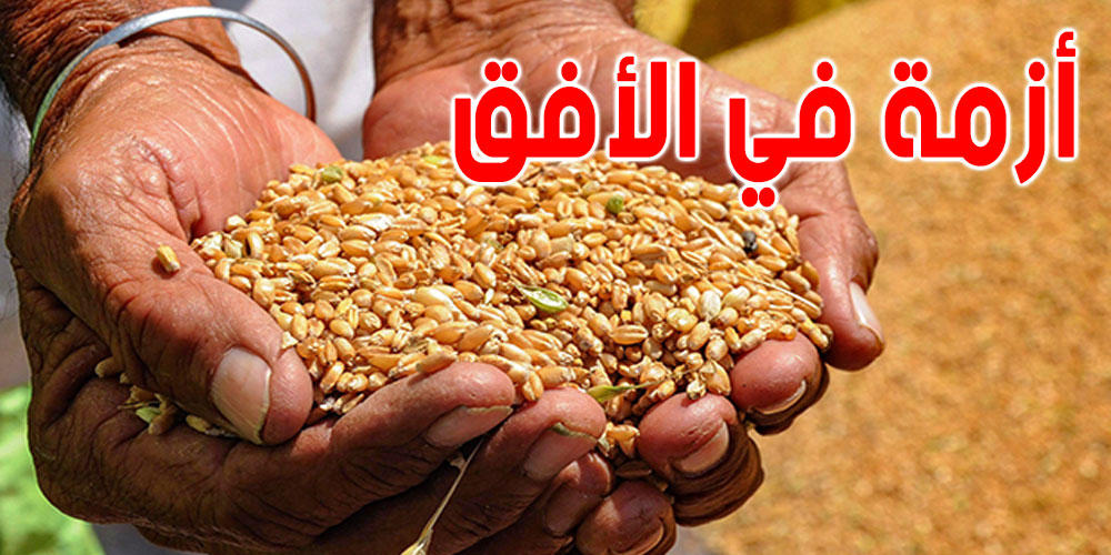 تونس: تراجع كبير في صابة الحبوب