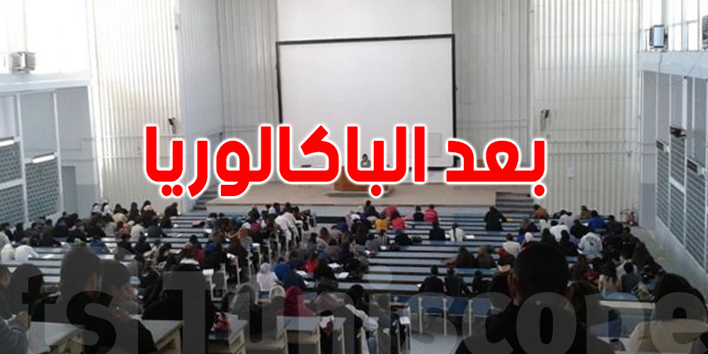 ما بعد البكالوريا: محطات أساسية في رحلة التلميذ التونسي نحو الجامعة
