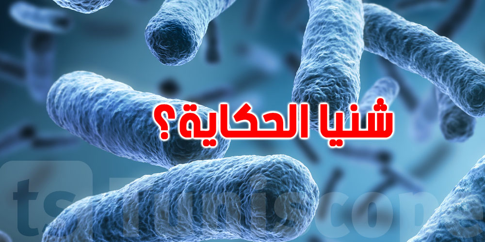 تحذير من منظمة الصحة العالمية بكتيريا قاتلة للبشر : تفاصيل 