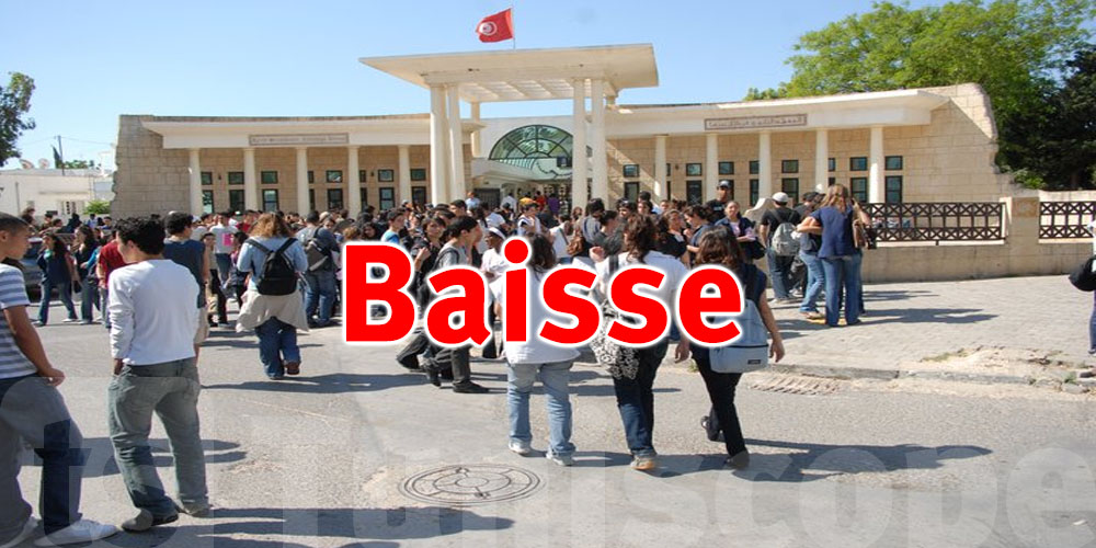 Baisse du taux de scolarisation primaire en Tunisie