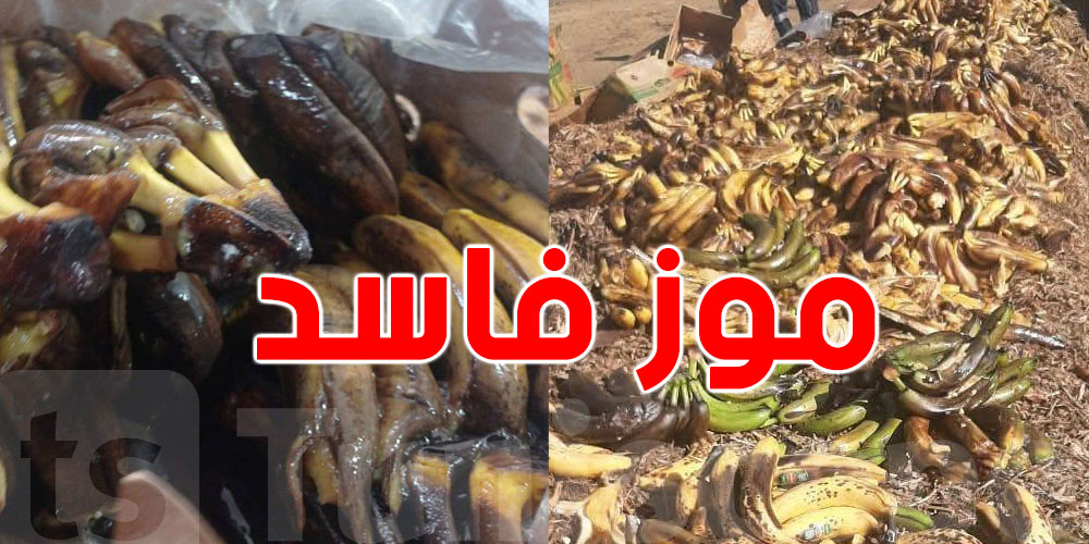 عاجل-سوسة: حجز 646 كغ من الموز الفاسد
