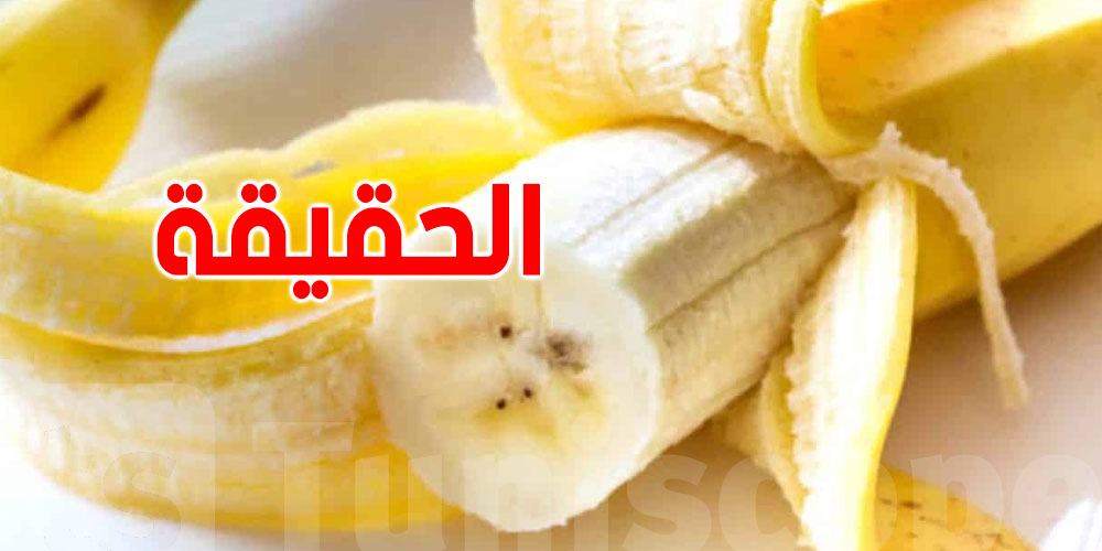 فاكهة الموز: قصص حقيقية ومفاجآت لا تُصدّق!
