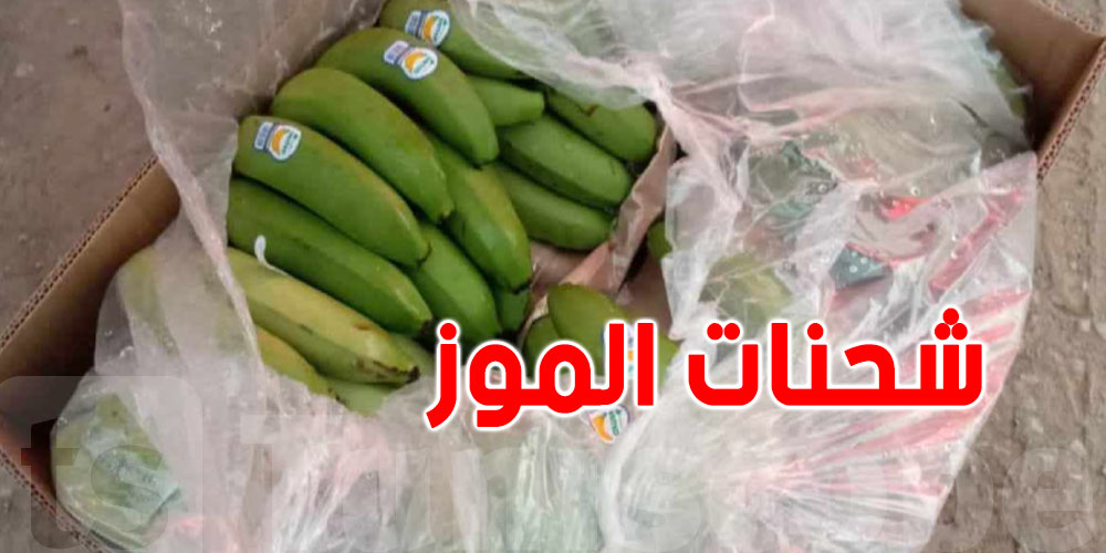 ضبط حوالى 3,5 أطنان من الكوكايين داخل شحنة موز