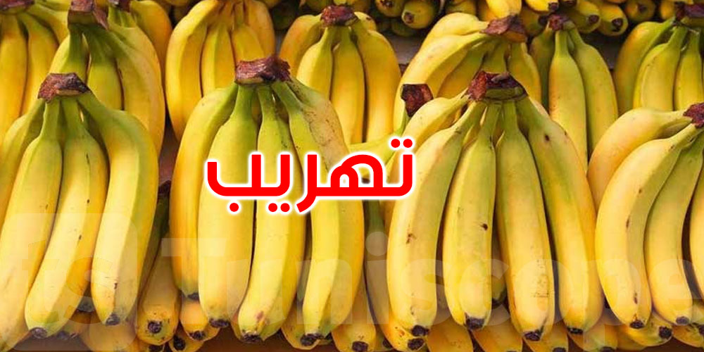وزارة التجارة: الموز المعروض على الطرقات متأتٍّ من مسالك التهريب