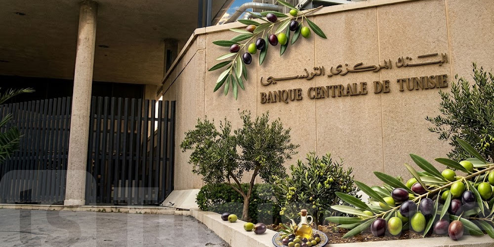 عاجل: البنك المركزي يتحرّك لإنجاح موسم زيت الزيتون 2026 و2027
