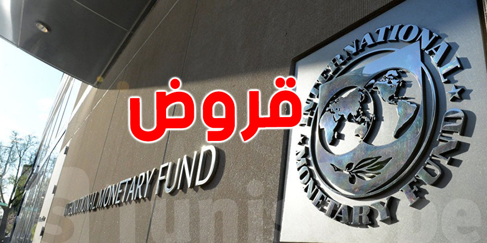 أستاذ إقتصاد بجامعة قرطاج : ''علاقة تونس مع صندوق النقد الدولي ليست في أفضل فتراتها''