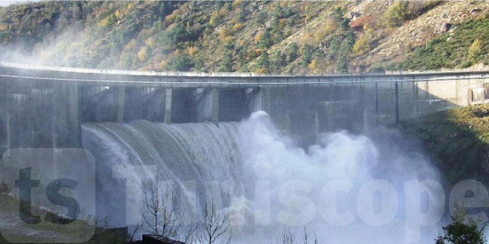 Transfert d'eau vers le barrage de Sidi Salem : La délégation agricole de Jendouba appelle à la vigilance