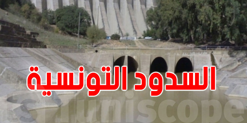 كاتب الدولة المكلّف بالمياه : ارتفاع نسبة امتلاء السدود إلى 40.7 %