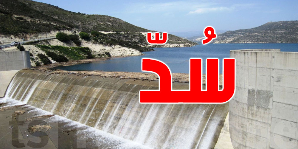 مشروع السدّ يتحرّك: مفاوضات جديدة لإنهاء ملف انتزاع الأراضي بجندوبة!