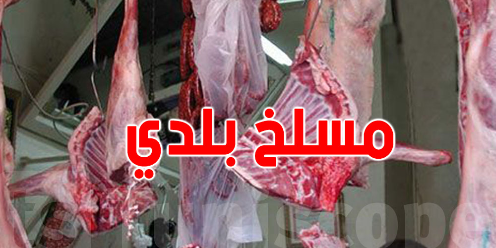 عجل مصاب بالسل داخل مسلخ منزل بورقيبة.. التفاصيل الكاملة