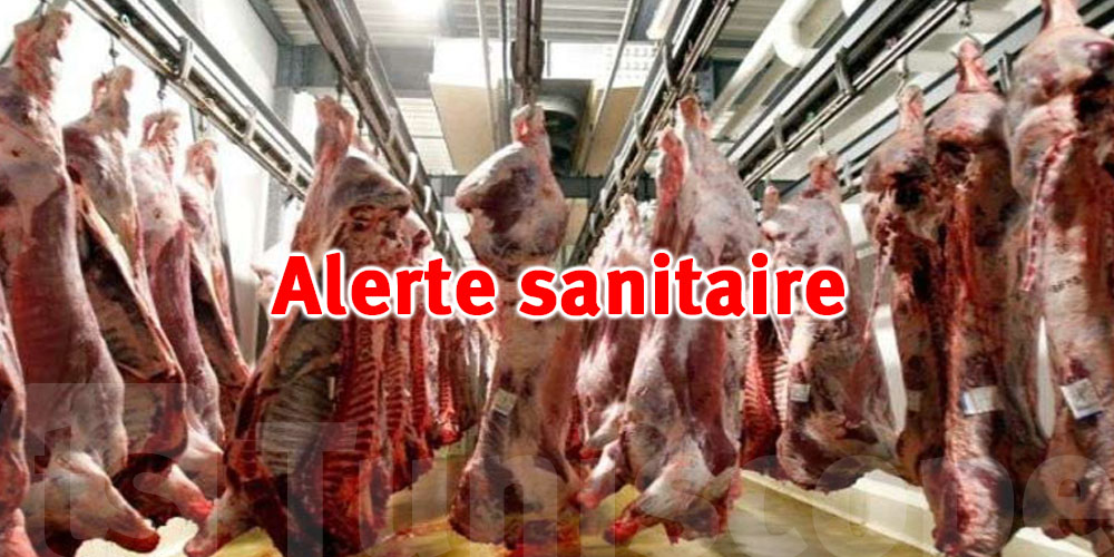 Veau atteint de tuberculose saisi à Menzel Bourguiba : alerte sanitaire dans l’abattoir