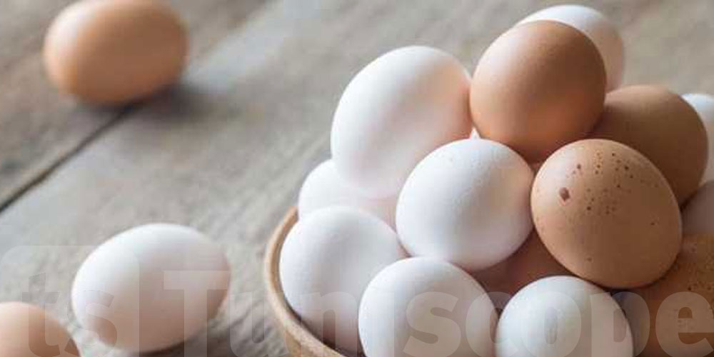 Œufs bruns ou blancs : le grand mensonge enfin dévoilé