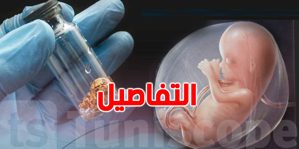 نائبة شعب تدعو الى ضرورة تنقيح قانون تجميد البويضات