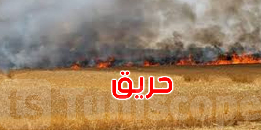 باجة: حريق يأتي على 15 هكتارا من مزارع القمح الليّن