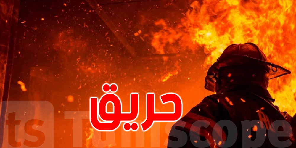حريقان متزامنان يلتهمان مزارع الحبوب في نفزة وتبرسق بولاية باجة