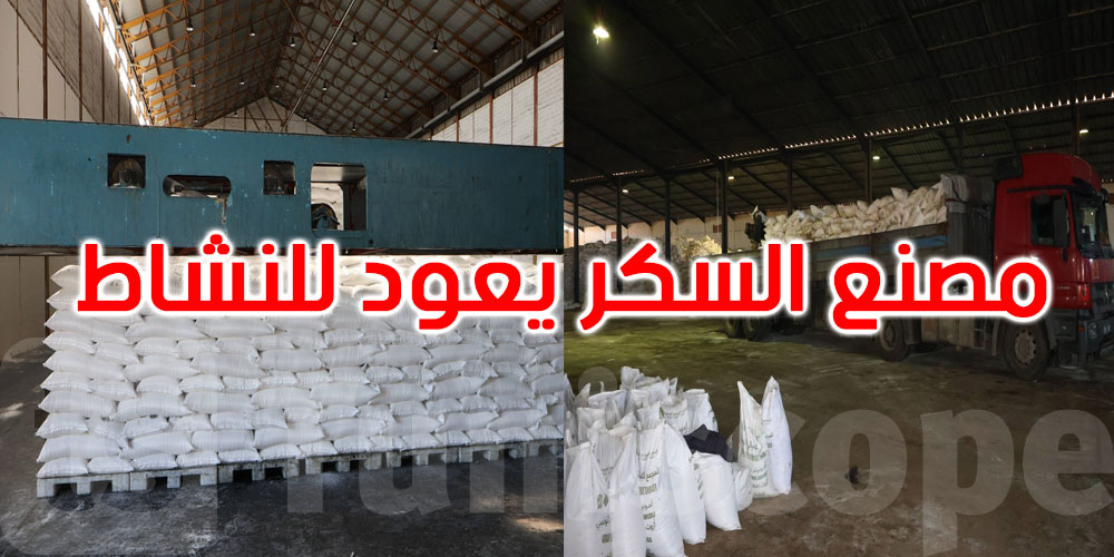 توقف منذ 2024: مصنع السكر بباجة يستأنف نشاطه الأسبوع القادم